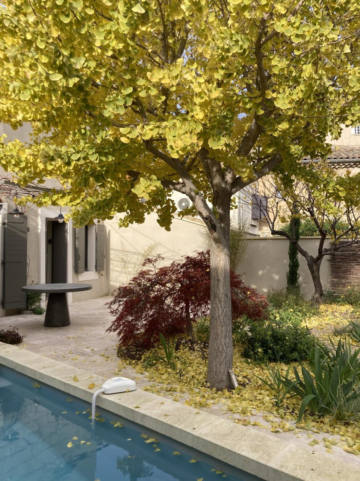 La Fontaine Aux Fees Villa Lagnes Exterior foto
